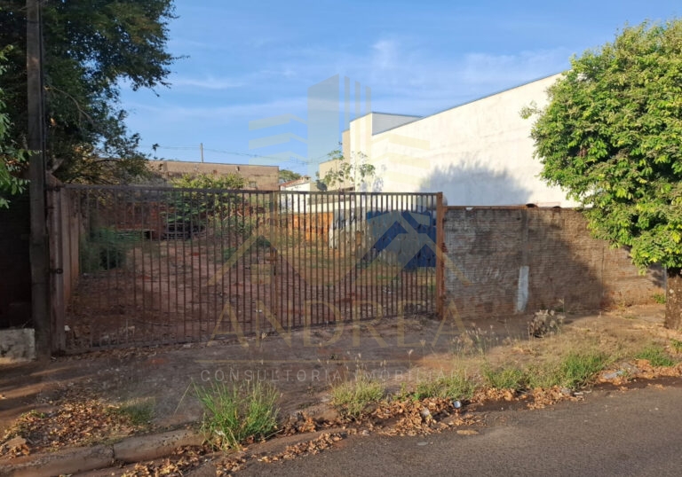 IMAGENS REDIMENCIONADAS 1