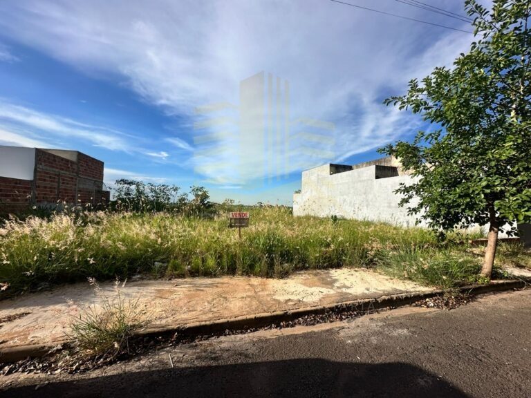 WhatsApp Image 2026-02-04 at 12.28.21